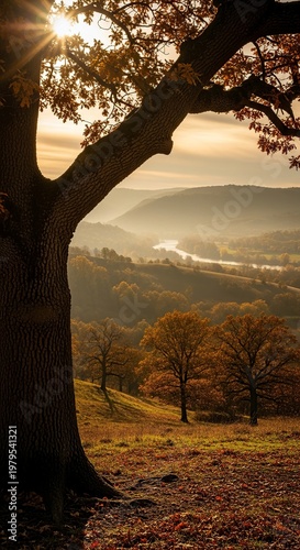 Majestic Tree Overlooking a Serene Valley Landscape.
