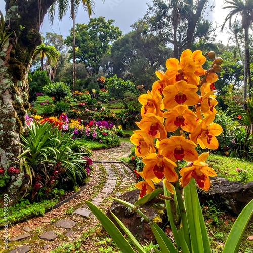 Lush garden path winds through vibrant blooms and verdant trees under a cloudy sky. Sunny orange flowers in the foreground