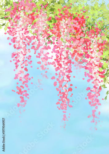 pink wisteria flowers watercolor background