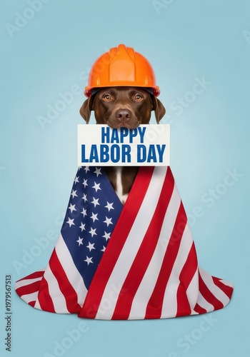 Wallpaper Mural Happy labor day dog wearing american flag and hard hat isolated on blue background celebration holiday. Torontodigital.ca