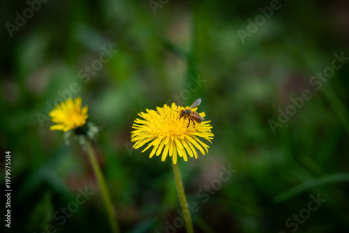 Kücher - Fotowalk mit Mäx Morawetz
