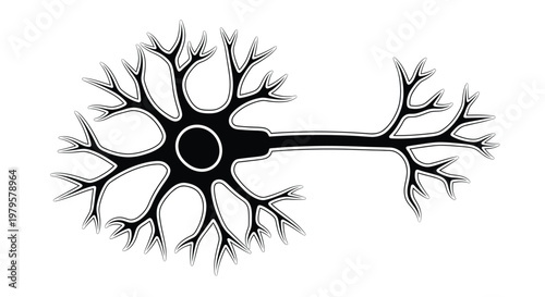 Detailed illustration of a neuron cell with branching extensions silhouette