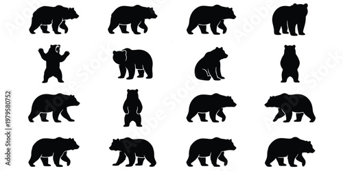 Black bear silhouette collection, 16 wild grizzly bear vector icons, standing and walking forest animal shapes, minimalist wildlife nature graphics