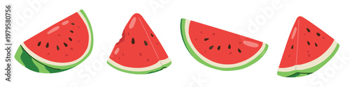 Set of vector watermelon slices and pieces in flat style. Bright summer fruit collection isolated on white background. Simple shapes, clean design, no faces. Perfect for kids design, scrapbook