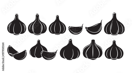 Garlic bulb and cloves collection in silhouette against a white background