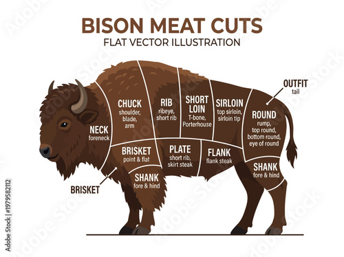 Bison Meat Cuts A Detailed Diagram Illustrating the Various Parts of a Bison Carcass for Culinary Purposes
