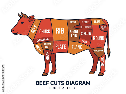 A comprehensive guide to understanding the different cuts of beef and their optimal uses, perfect for butchers and home cooks alike