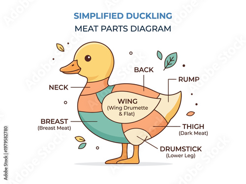 Duck Meat Cuts Chart A Comprehensive Guide to Different Parts of a Duck