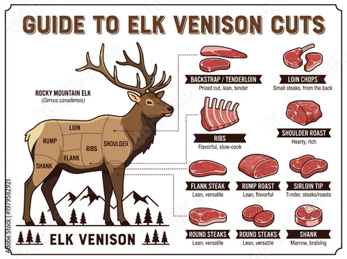 Elk Venison Cuts A Comprehensive Guide to Different Meat Selections from Rocky Mountain Elk