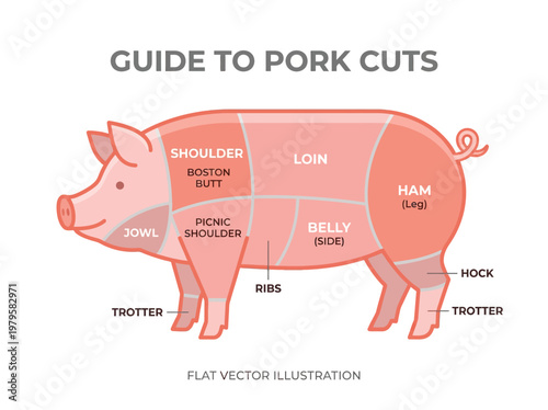 A Comprehensive Guide to Pork Cuts Understanding the Different Parts of a Pig