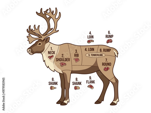Diagram Illustrating Caribou Meat Cuts and Their Locations on the Animal
