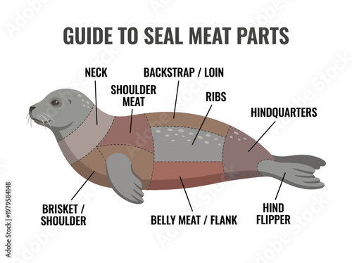 Illustrated guide to the different cuts of seal meat, with each part clearly labeled