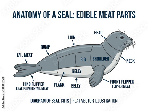Anatomy of a Seal A Detailed Diagram Illustrating Edible Meat Cuts