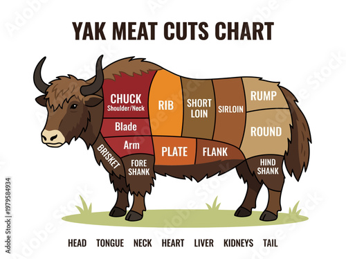 Yak Meat Cuts Chart A Comprehensive Guide to Different Portions of Yak Meat for Culinary Enthusiasts