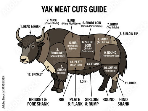Detailed Guide to Yak Meat Cuts for Culinary Enthusiasts and Butchers