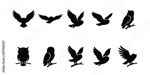Owl silhouette vector collection, 10 black bird of prey icons. Flying and perched nocturnal raptor shapes, wild forest animal graphics for logos