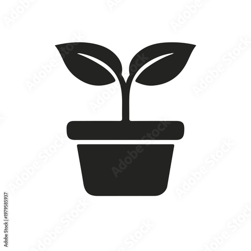 plant pot gardening icon single vector on white background. plant in pot