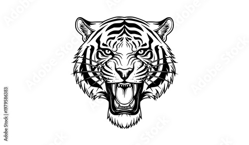 Roaring tiger head vector tattoo style illustration with detailed line art and fierce expression