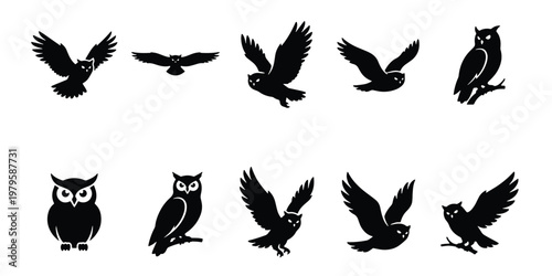 Black owl silhouette collection, 10 vector bird icons in flight and perched poses, nocturnal wildlife predator symbols for logo design and nature branding