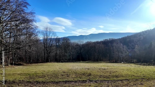 Vibrant green meadow extending towards a line of leafless deciduous trees and distant, hazy mountain peaks