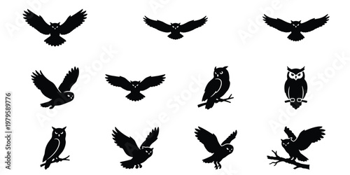 Black owl silhouette collection, set of 11 flying and perched bird icons, nocturnal predator vector graphics for logo design and nature branding