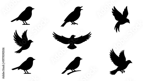 Bird silhouette collection, 8 flying and perched avian icons, black songbird vector set