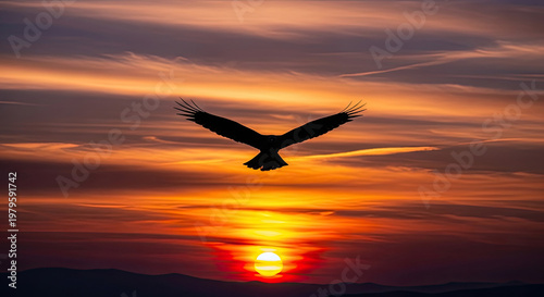 A majestic eagle soars through the vibrant orange and yellow hues of a breathtaking sunset isolated on white background