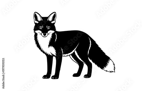 Black and white illustration of a standing fox with fluffy tail