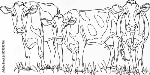 Line art illustration depicting three cows standing in a grassy field