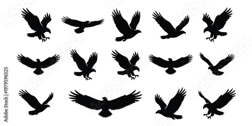 Eagle silhouette collection, 14 flying hawk and falcon bird vectors, black predatory bird shapes, soaring eagle icons for logo design