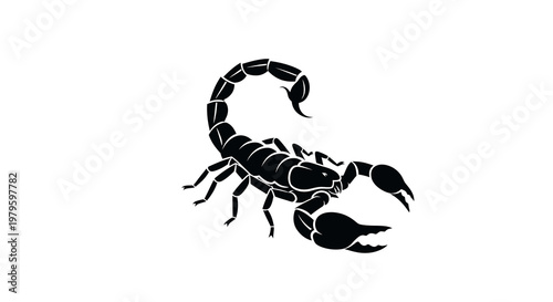 A scorpion stings with its tail raised high in desert