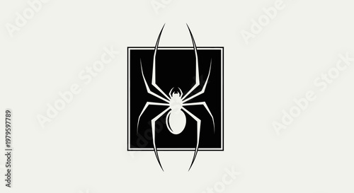 A spider illustration depicts an arachnid in a square frame indoors.
