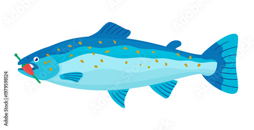 Salmon fish with a green and red fishing bobber in its mouth is on a white background, side view. Color vector illustration