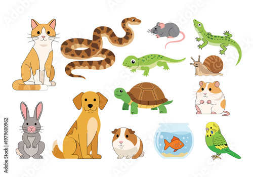 Set of cute cartoon pets including cat, dog, rabbit, hamster, guinea pig, snake, lizard, turtle, snail, fish and parrot