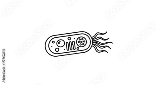 Microscopic Bacteria Cell Illustration, Single Bacterium Outline, Scientific Concept