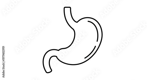 Simple Line Art Stomach Icon Vector Illustration