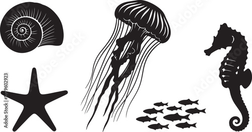 Handdrawn Shells illustrations, shells drawing, sea elements, ocean, sea, water, collection, set