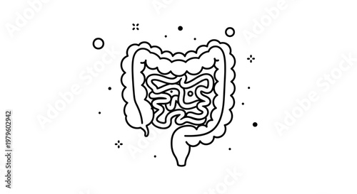 Human Digestive System Anatomy Icon, Intestine Outline