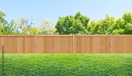 grass in backyard and wooden garden fence in summer