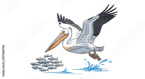 Pelican diving into the water to catch a school of fish illustration isolated on white background