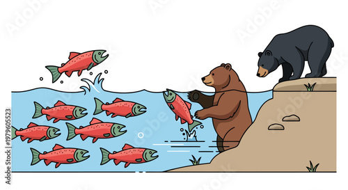 Grizzly bear catching salmon in river with black bear watching nearby isolated on white background