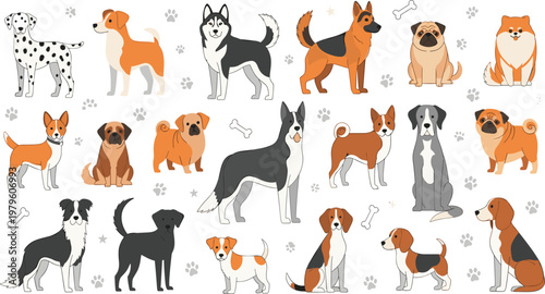 Cute Dog Breeds Seamless Pattern Featuring Beagle Labrador Border Collie Dachshund and Mixed Puppies with Paw Prints Cartoon Style Vector Illustration.