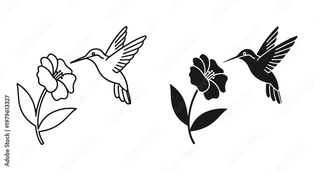 Obraz premium Two hummingbird illustrations one line art and the other a filled silhouette