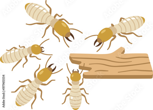 Vector EPS illustration of termites feeding on a wooden log, showing different termite types including workers and winged termites in a simple cartoon style.