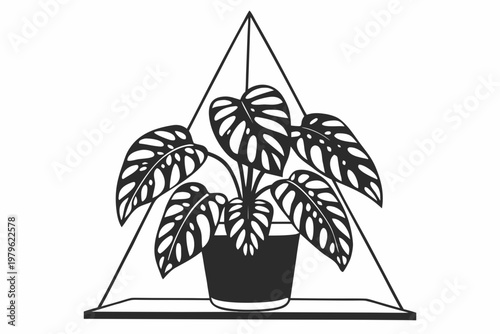 A minimalist vector illustration of a potted plant with large leaves inside a pyramid-shaped terrarium