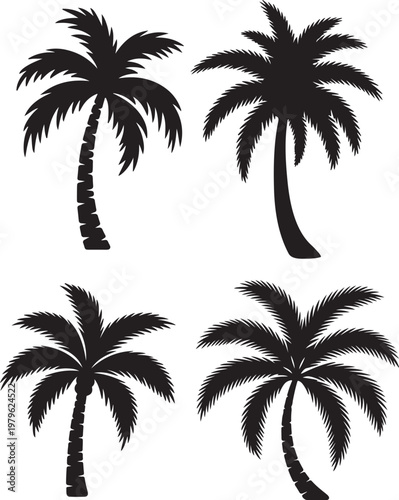 Palm Tree Silhouette, vector and illustration Silhouettes