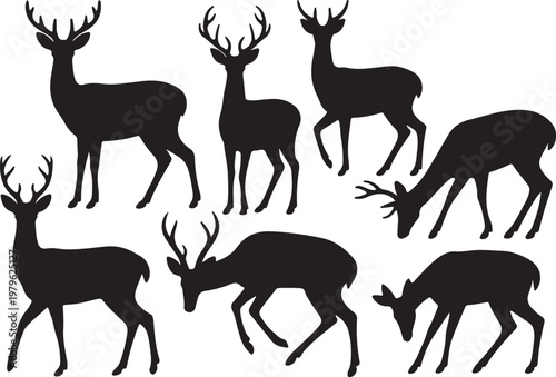 Set of Deer Silhouette, vector and illustration Silhouettes