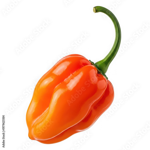 Vibrant orange habanero pepper with green stem isolated on transparent background