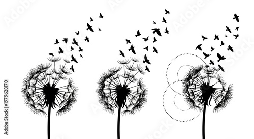 Dandelion Seeds Transforming into Flying Birds and Abstract Dots