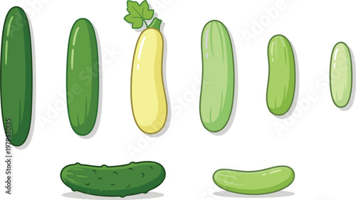 Set of cucumbers and zucchini in different shapes and colors, flat vector vegetable collection with fresh organic produce isolated on light background